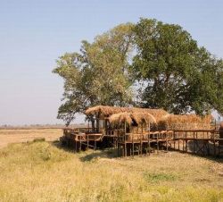 Unterk�nfte - Shumba Camp (Wilderness Safaris)